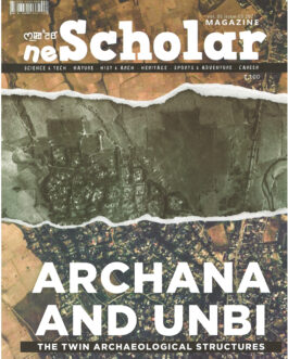 ne Scholar Magazine Vol 5 issue 3